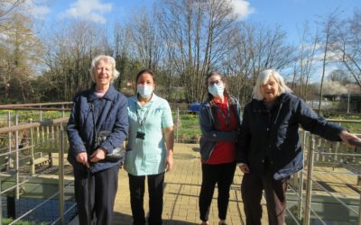 Farnham Mill goes green