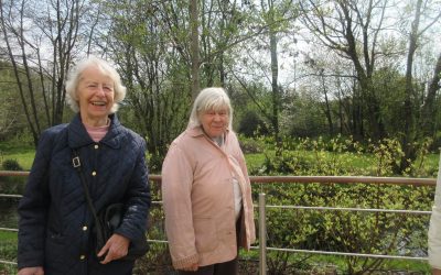 Spring garden week at Farnham Mill