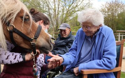 Growing up with animals here at Farnham Mill