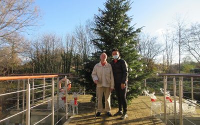 Christmas Preparations at Farnham Mill