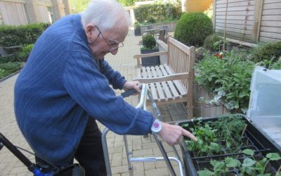 Celebrating Gardens at Farnham Mill