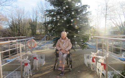 Christmas Preparations at Farnham Mill