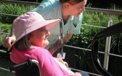 World Book Week at Farnham Mill