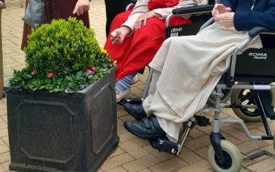 Spring Week at Farnham Mill