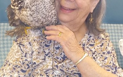 Easter Week at Farnham Mill