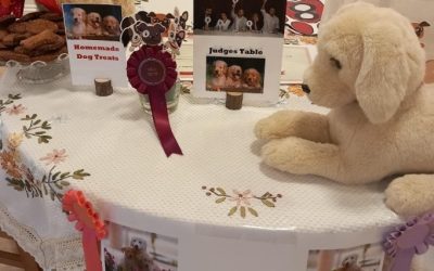 Dog Show Week at Farnham Mill