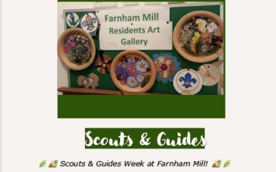Scouts and Guides Week at Farnham Mill