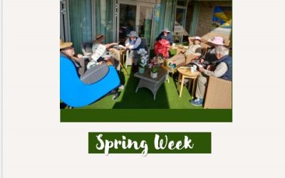 Spring Week at Farnham Mill