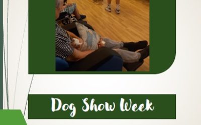 Dog Show Week at Farnham Mill